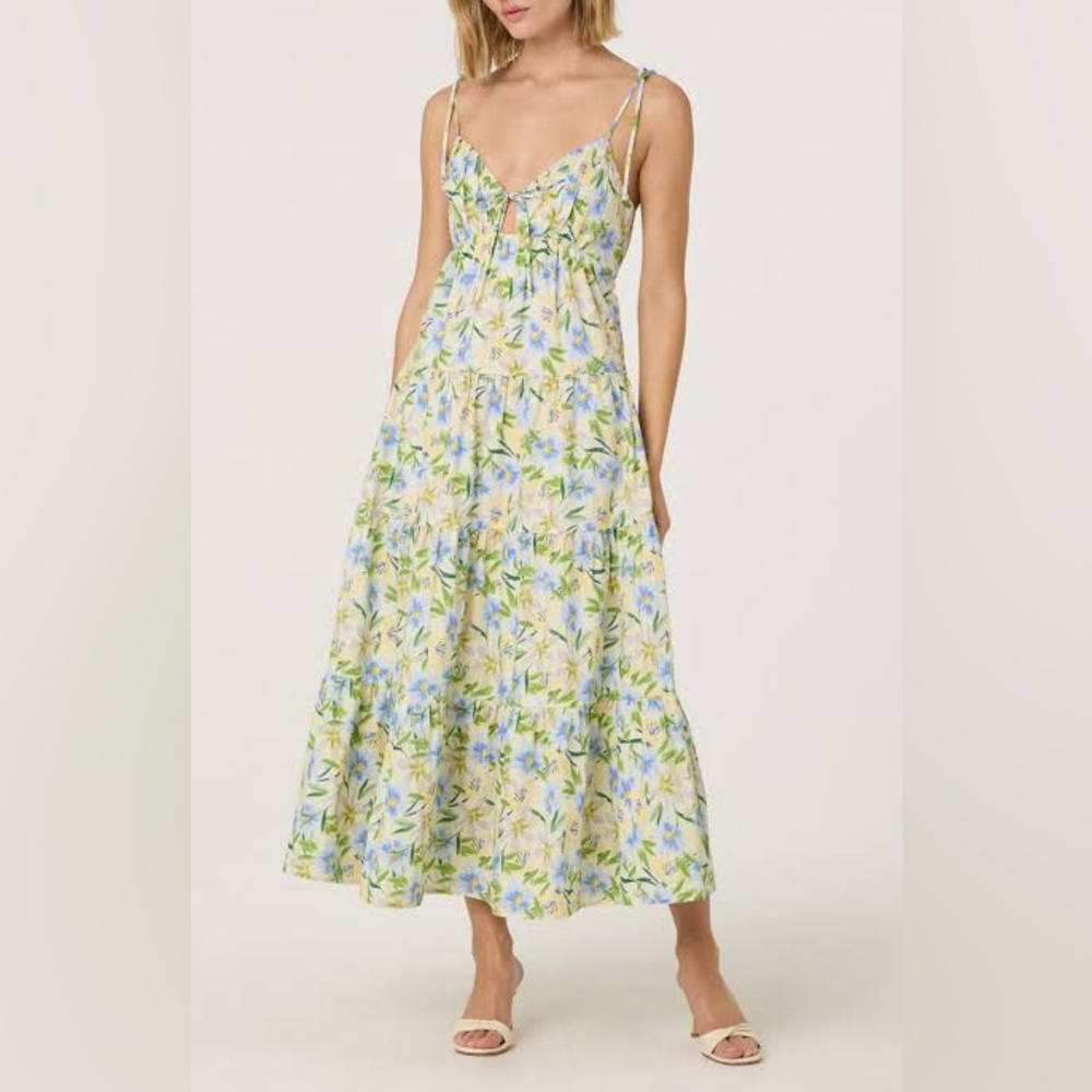 Astr the Label Floral Midi Dress in Blue and Green
